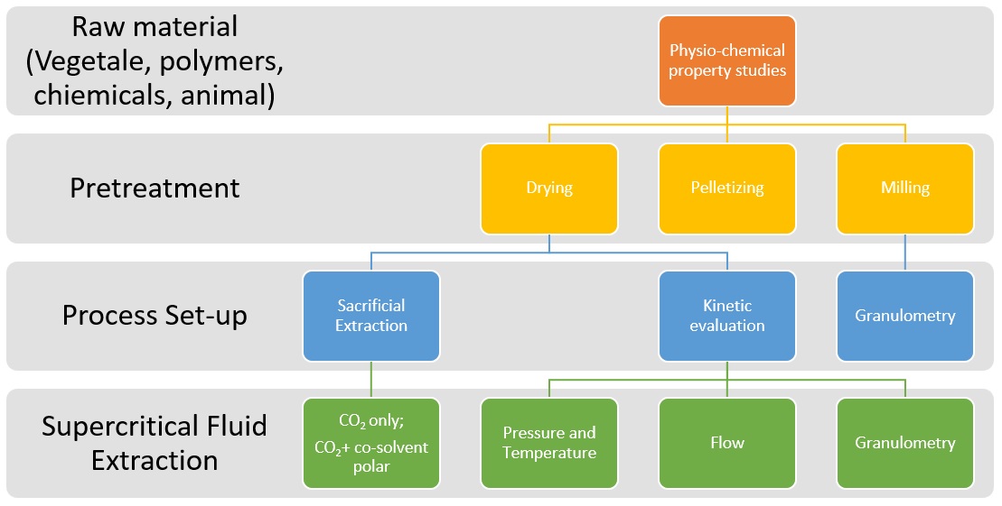 supercritical CO2 extraction processes